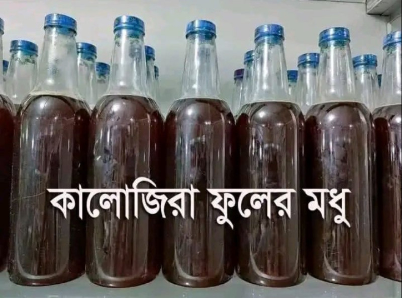কালোজিরা মধু পাওয়া যায়